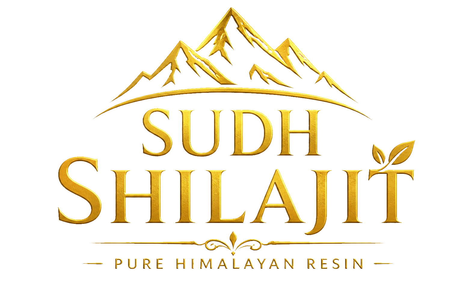 SUDH SHILAJIT